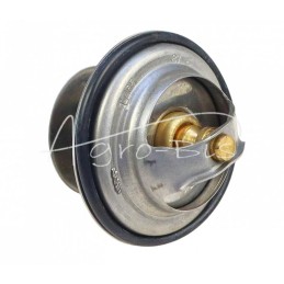 FENDT TV-165.87 termostatas - F1192000500040