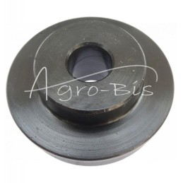 Stabdžių stūmoklis poliruotas - 80126051