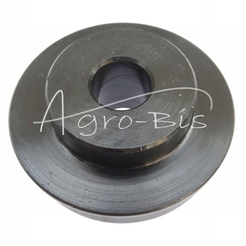 Stabdžių stūmoklis poliruotas - 80126051