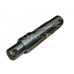 Vertikalaus veleno trąšų barstytuvas RNZ Polska - 201203009