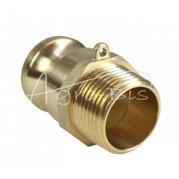 „Camlock“ jungties kištukas, F tipo, žalvaris, 1" x 25 mm, PZL HYDRAL - ZCMF25H