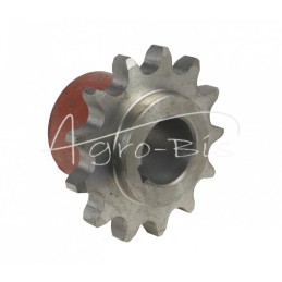 Ratas su įvore Z-13 FI-30mm 3/4 konvejerio pavara 221906008 mėšlo kratytuvas - 2219060020