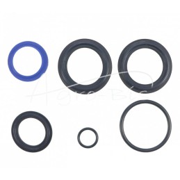 CJ2D-40/22 variatoriaus pavaros riebokšlių komplektas, seno tipo, Bizon PZL-Hydral kombainui - F174H