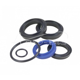 CJ2D-40/22 variatoriaus pavaros riebokšlių komplektas, seno tipo, Bizon PZL-Hydral kombainui - F174H