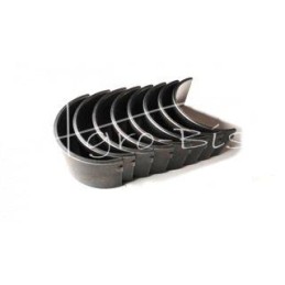 Pagrindinių guolių komplektas MTZ H1-P3 - 504771718/22