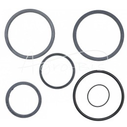 Strėlės ir peties cilindrų sandariklių komplektas UNHZ-750 F326 krautuvui - K111