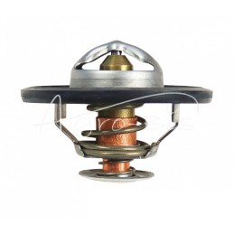 Termostato korpusas 718853R91 - TV-232.81