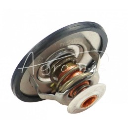 Termostato korpusas 718853R91 - TV-232.81