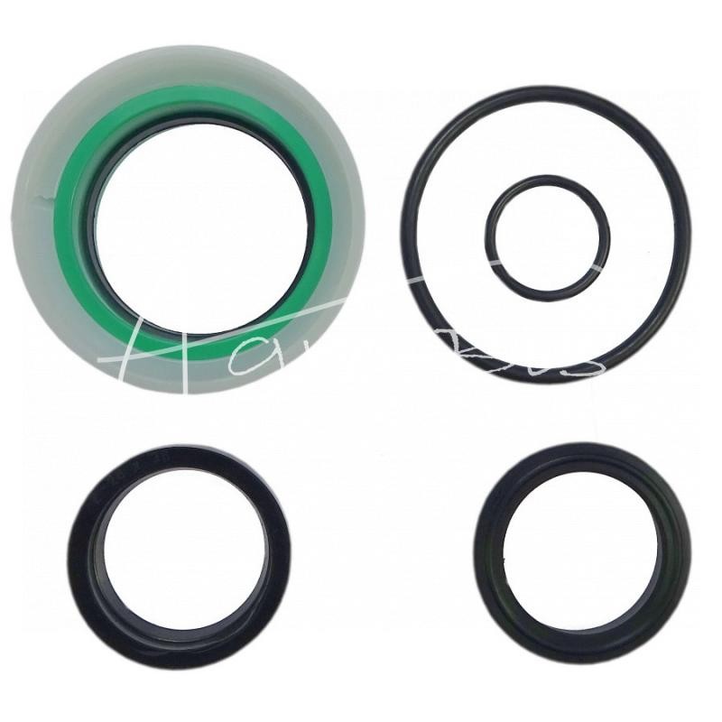 Vairo cilindro sandariklių komplektas SJ2F-50/28/HX Bizon kombainas - F178