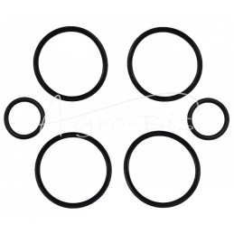 UNHZ-750 krautuvo šoninio sukimosi cilindro sandarinimo komplektas - K110