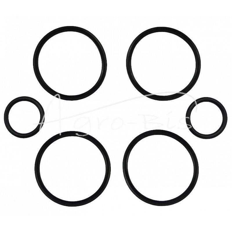 UNHZ-750 krautuvo šoninio sukimosi cilindro sandarinimo komplektas - K110