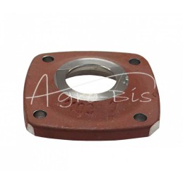 Mažas reduktoriaus dangtelis Rolmus mėšlo kratytuvui - 221948007