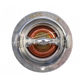 Variklio aušinimo skysčio termostatas V2203 Kubota 1A021-73012 LEILAND - 1A02173012LE