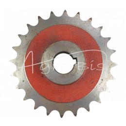 Grandininis ratas Z-24 FI-30mm 3/4" ketaus mėšlo kratytuvui - 221305002/0B