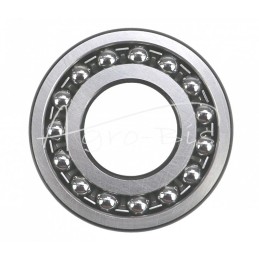 Savaime išsilyginantis rutulinis guolis 1309 ZVL - 1309 ZVL