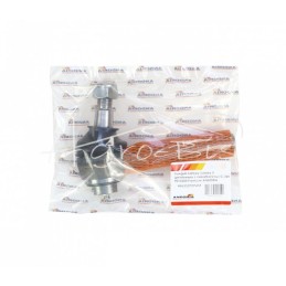 Kampinis šarnyras II su sriegiu ir reguliavimo veržle Ursus C-360 9010200 Premium ANDORIA - 46635070PAM