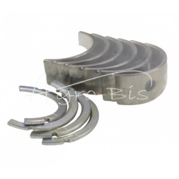 Pagrindinių guolių rinkinys T-25 P3 - D211005100/P3