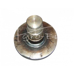 Trumpas būgninis kaištis FI-30 mm mėšlo kratytuvas - 221925001