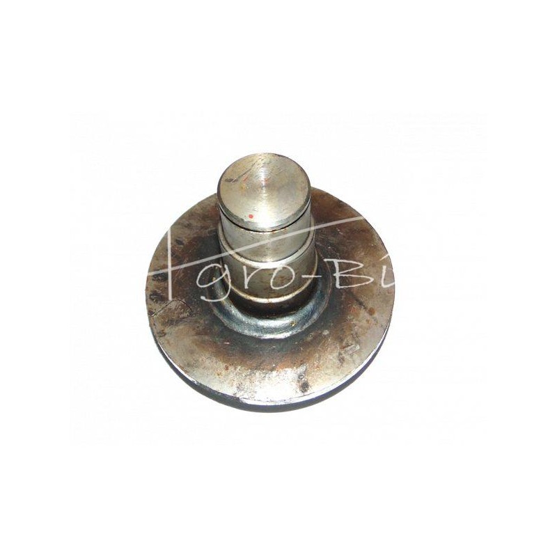 Trumpas būgninis kaištis FI-30 mm mėšlo kratytuvas - 221925001