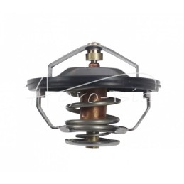 Variklio termostatas 81C 60,5 mm su ANDORIA tarpine - 2856541AM