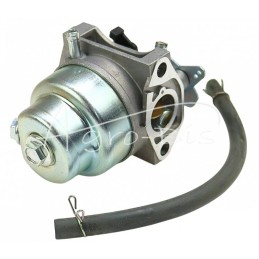 Pilnas plūdės tipo karbiuratorius 16100-Z0L-013, skirtas „Honda LEILAND“ varikliui - 16100Z0L013AM