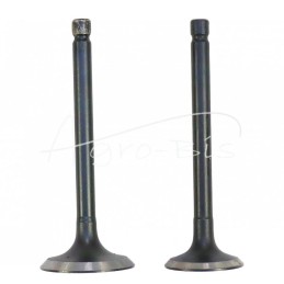 D902 Kubota LEILAND variklio įsiurbimo/išmetimo vožtuvas - ZSD902AM