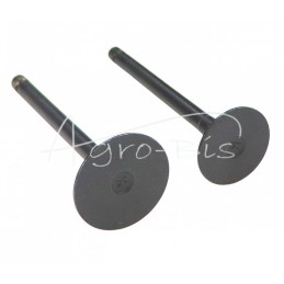 D902 Kubota LEILAND variklio įsiurbimo/išmetimo vožtuvas - ZSD902AM