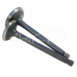 D902 Kubota LEILAND variklio įsiurbimo/išmetimo vožtuvas - ZSD902AM