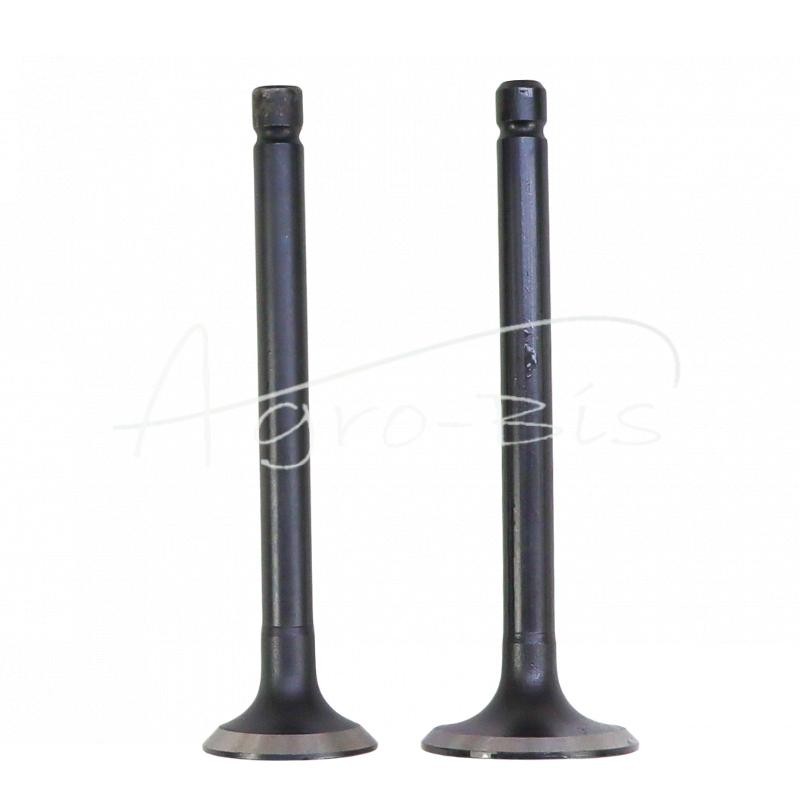 D1501 Kubota LEILAND variklio įsiurbimo/išmetimo vožtuvas - ZSV1501AM