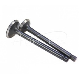 D1501 Kubota LEILAND variklio įsiurbimo/išmetimo vožtuvas - ZSV1501AM