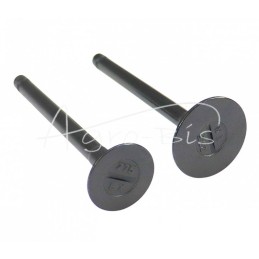 D1501 Kubota LEILAND variklio įsiurbimo/išmetimo vožtuvas - ZSV1501AM