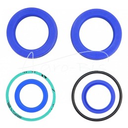 Claas Dominator 118 kombaino išmetimo cilindro sandarinimo komplektas - K727