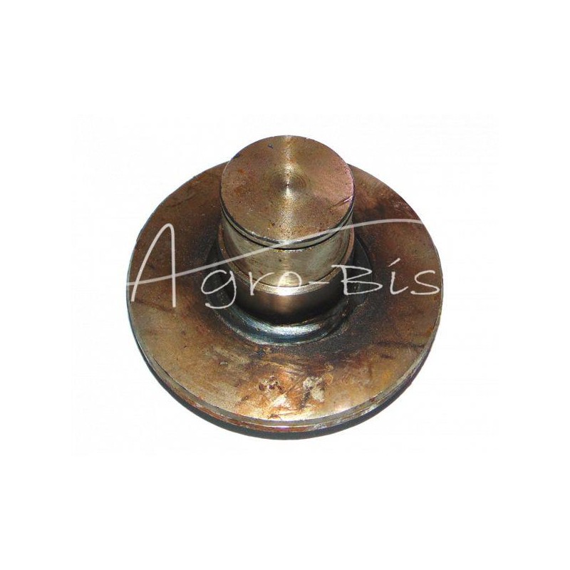 Trumpas būgninis kaištis FI-40 mm mėšlo kratytuvas - 221319001