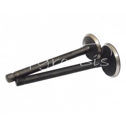 Kubota V2403 variklio įsiurbimo ir išmetimo vožtuvų komplektas - V2403/ZAWORY