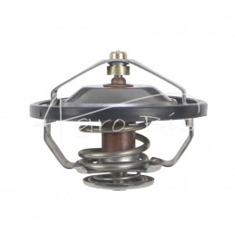 Variklio termostatas 81C 60.5mm C2.8116 ANDORIA - 87803070AM