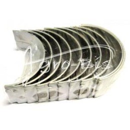 Pagrindinių guolių komplektas R2 C-385 IMPORT - C-385/GŁ/R2