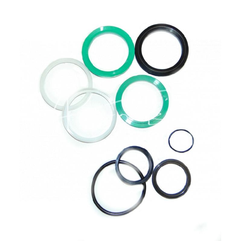 CJ2F-80/45/40 trolinio krautuvo pasukamos strėlės cilindro sandariklių komplektas - F341