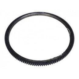 Vladimiro T-25 variklio smagračio žiedas - D221005332