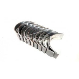 Pagrindinių guolių komplektas MTZ R2 - 501005100P1