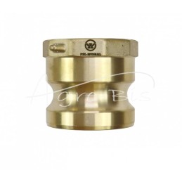 „Camlock“ jungties kištukas, A tipo, žalvaris, 2" x 50 mm, PZL HYDRAL - ZCMA50H