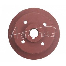 Vandens siurblio skriemulys ir diržas Ursus C-385 - 84017503