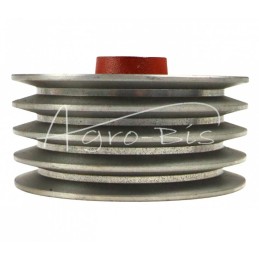 Mažas skriemulys rotacinei žoliapjovei 1,65 lenkų - 503601025/1