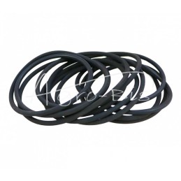 NUJN-100 krautuvo sūpynės kolonos sandarinimo komplektas - K116