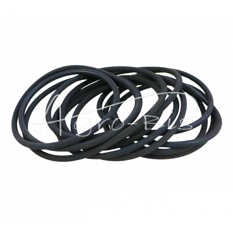 NUJN-100 krautuvo sūpynės kolonos sandarinimo komplektas - K116