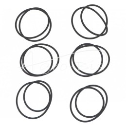 NUJN-100 krautuvo sūpynės kolonos sandarinimo komplektas - K116