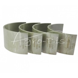 Švaistiklių guolių komplektas N-0,75 50103913, 90060123 Ursus C-330 ANDORIA - 9006012310AM