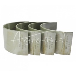 Švaistiklių guolių rinkinys N-0,00 50103910, 90060120 Ursus C-330 ANDORIA - 9006012010AM