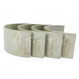 Švaistiklių guolių komplektas N-0,50 50103912, 90060122 Ursus C-330 ANDORIA - 9006012210AM