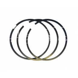 Variklio žiedų komplektas FI-101,054 MF 101.054*2.5+2.5+5.0 4.248 - K1-2025