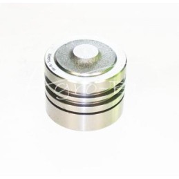 C-360 Skropol kėlimo stūmoklis - 5058025/S